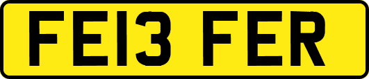 FE13FER