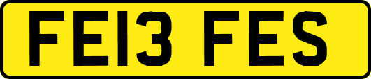 FE13FES
