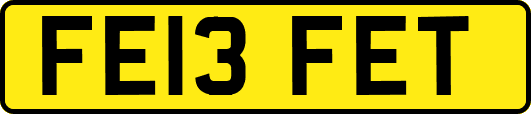 FE13FET
