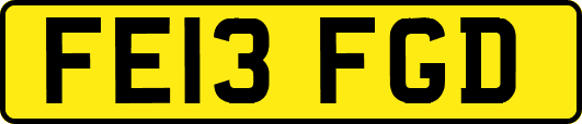 FE13FGD