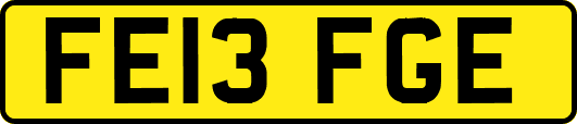 FE13FGE