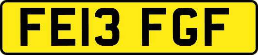FE13FGF