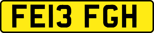 FE13FGH