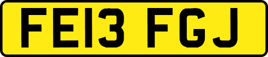 FE13FGJ