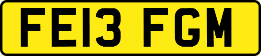 FE13FGM