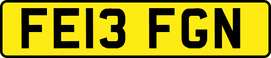 FE13FGN