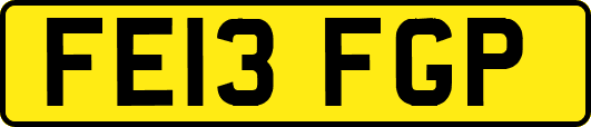 FE13FGP