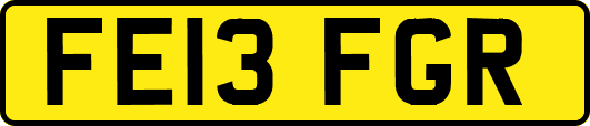FE13FGR