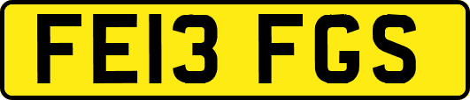 FE13FGS