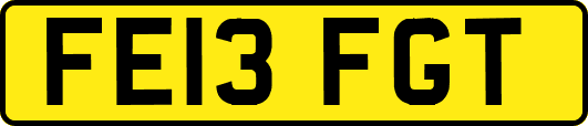FE13FGT
