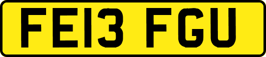 FE13FGU