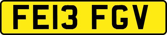FE13FGV