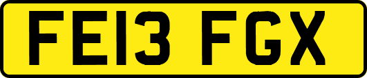 FE13FGX