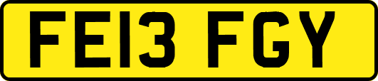 FE13FGY