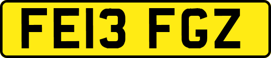 FE13FGZ