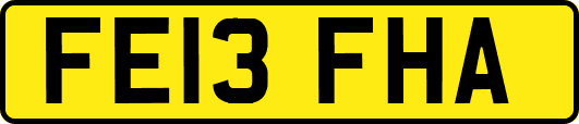 FE13FHA