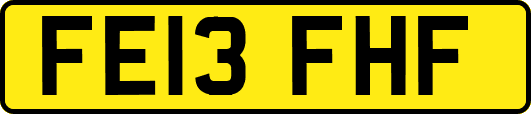 FE13FHF