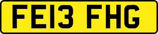 FE13FHG
