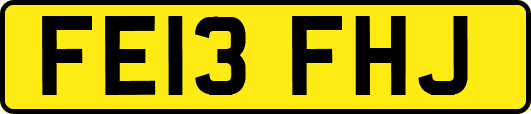 FE13FHJ