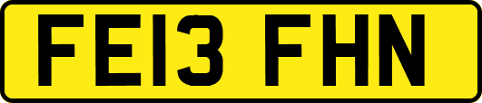 FE13FHN