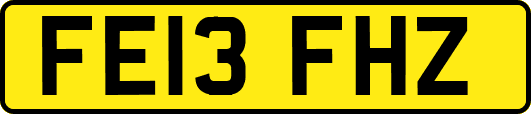 FE13FHZ