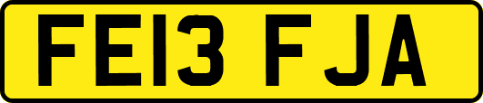 FE13FJA
