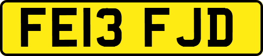 FE13FJD