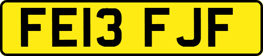 FE13FJF