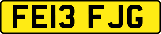 FE13FJG