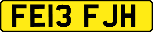 FE13FJH