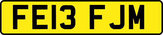 FE13FJM