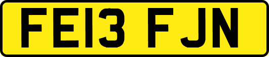 FE13FJN
