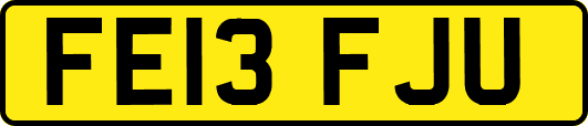 FE13FJU