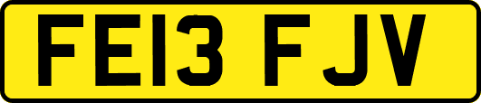 FE13FJV
