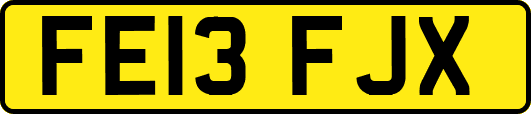 FE13FJX