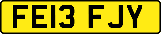 FE13FJY