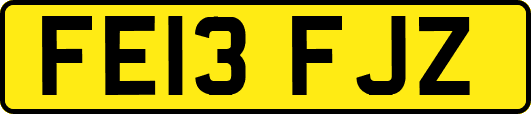FE13FJZ