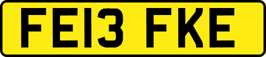 FE13FKE