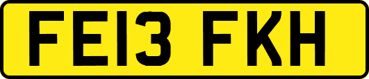 FE13FKH