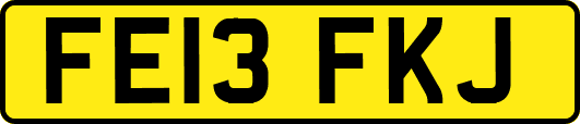 FE13FKJ