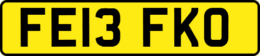 FE13FKO
