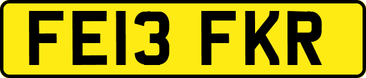 FE13FKR