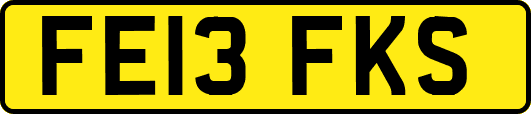 FE13FKS