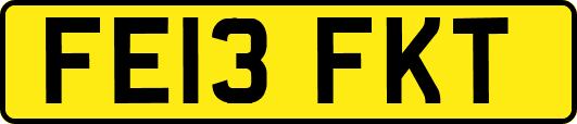 FE13FKT