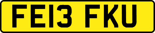 FE13FKU