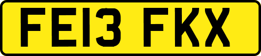 FE13FKX