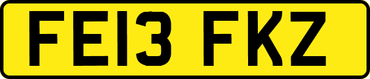 FE13FKZ