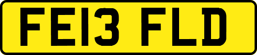 FE13FLD