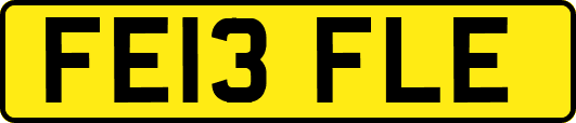 FE13FLE