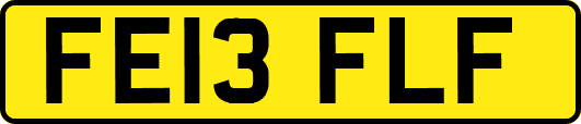 FE13FLF